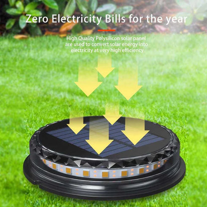 Solar-Powered Waterproof Garden Lights