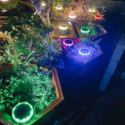 Solar-Powered Waterproof Garden Lights