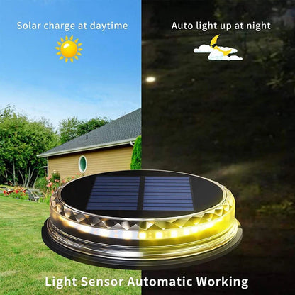Solar-Powered Waterproof Garden Lights