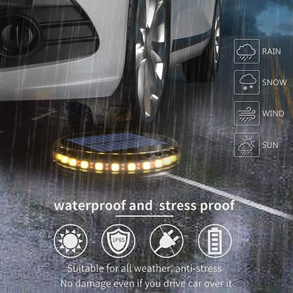 Solar-Powered Waterproof Garden Lights