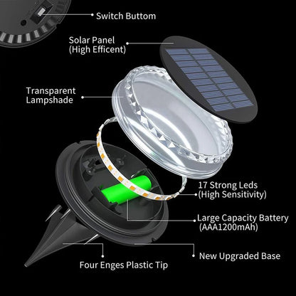 Solar-Powered Waterproof Garden Lights